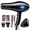 Seche -cheveux de haute technologie puissante et Professionnelle